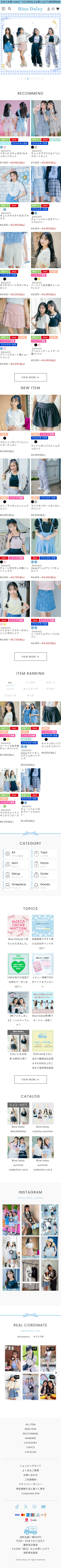 Blue Daisy Online ECサイト制作